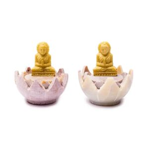 Brucia bastoncini incenso Buddha