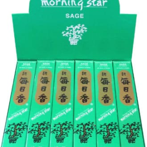 MORNING STAR - Incenso Giapponese SAGE 50 Bastoncini e Brucia incenso