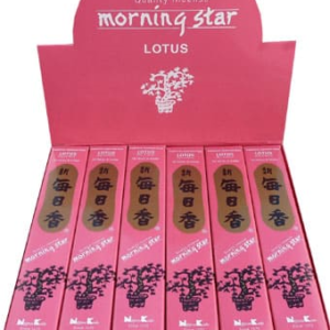 MORNING STAR - Incenso Giapponese LOTO 50 Bastoncini e Brucia incenso