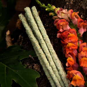 Sagrada Madre – Linea Botanico – FRESIA
