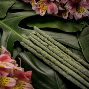 Sagrada Madre – Linea Botanico – THE VERDE E CHAMPA
