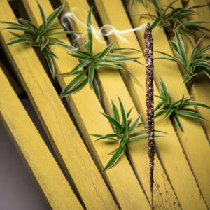 Sagrada Madre – Linea Palo Santo – Jasmine