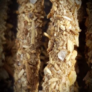 Sagrada Madre – Linea Palo Santo – Frankincense