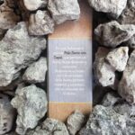 Sagrada Madre - Palo santo e Copal