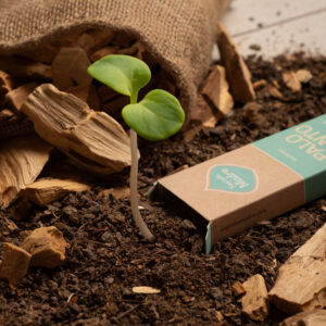 Sagrada Madre – Linea Palo Santo – Fresia